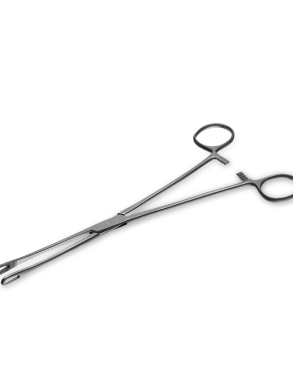 Ottoman bomber jacket