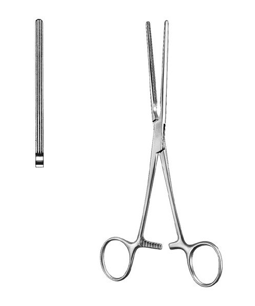 Turquoise Flamingo Print Swimming Shorts